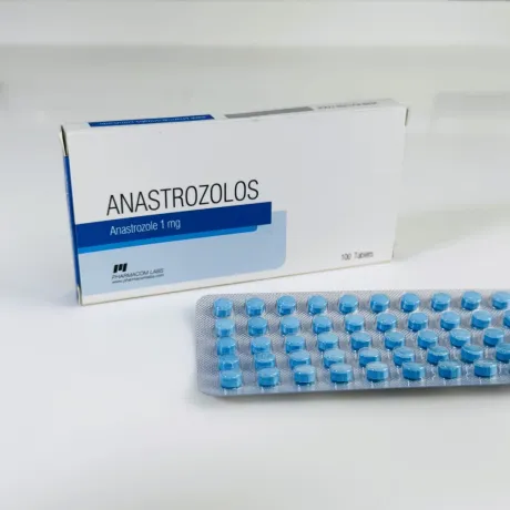 Фото 2 - Анастрозол Фармаком (Anastrozole Pharmacom) 1мг 50табл